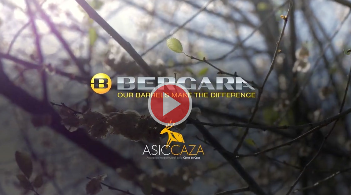 video asiccaza bergara