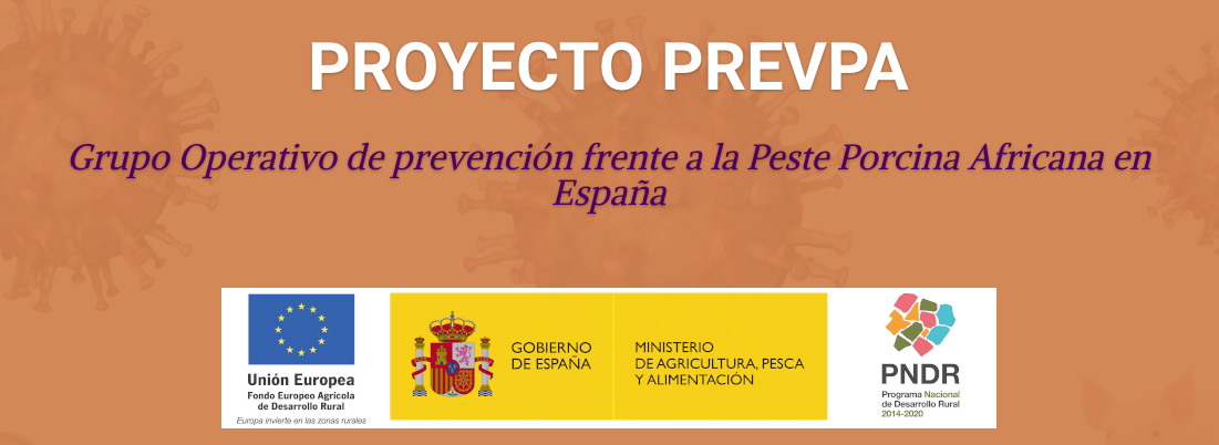 proyecto prevpa