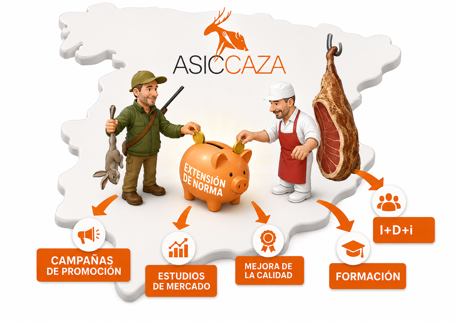 Imagen de la extensión de norma de ASICCAZA explicada visualmente