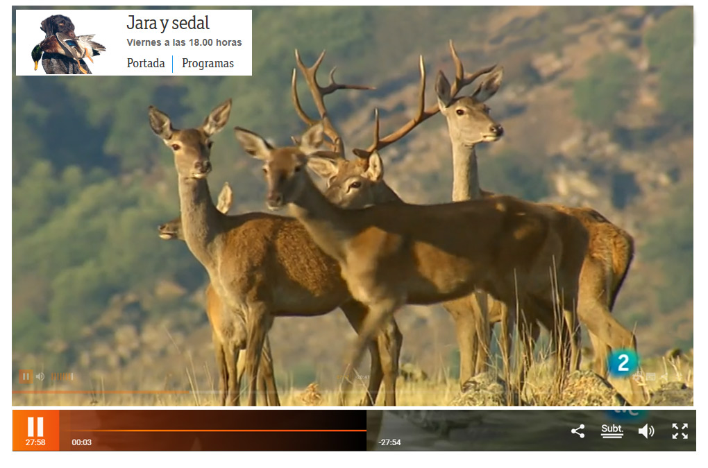 Programa Jara y Sedal