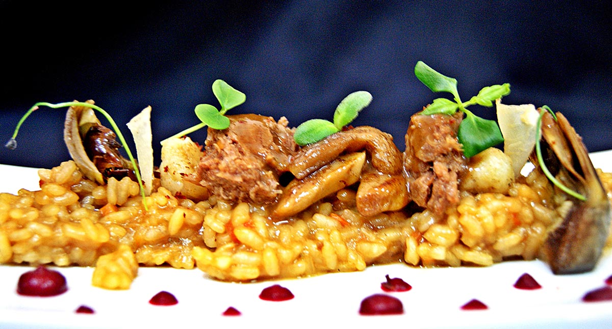 risotto de gamo